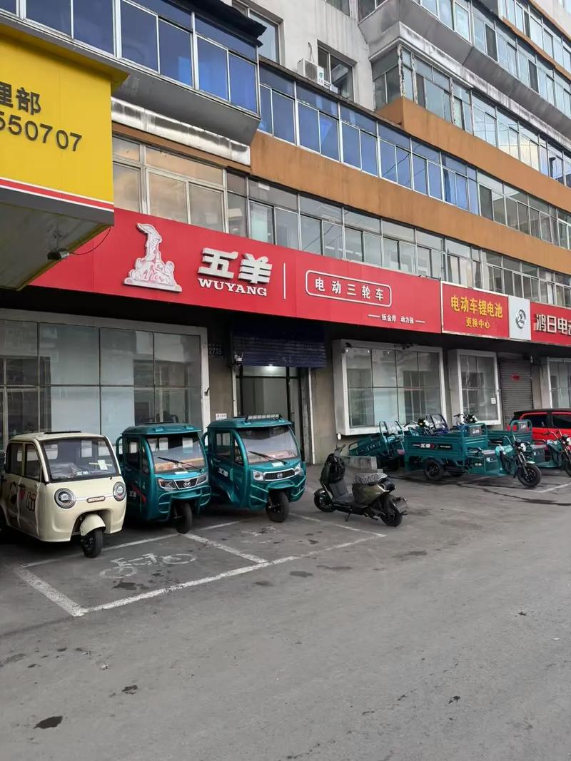 通化五羊电动三轮车 匠心组装，品质之选